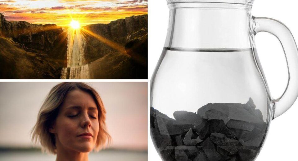 Why You Need to Add Shungite to Your Water & How to Make it Happen! Thewellthieone