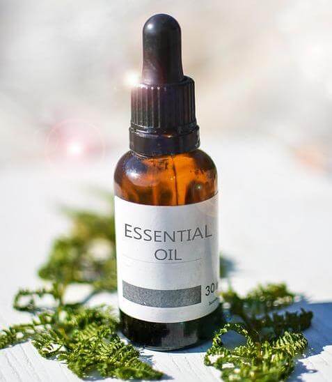 Tea tree essential oil is by far the most feared essential oil by me, Mr. Microsporum, and my family. 
