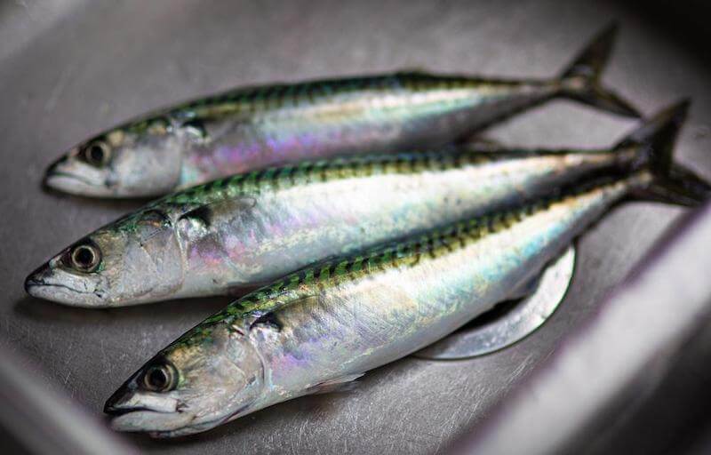 Oily fish like sardines have beneficial properties that help reduce inflammation and pain. 