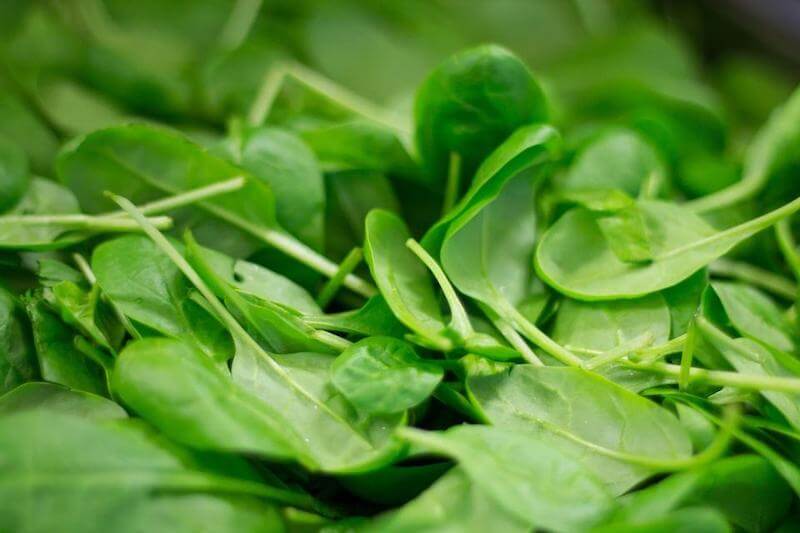 Make a spinach salad, put it in smoothies and in pastas.