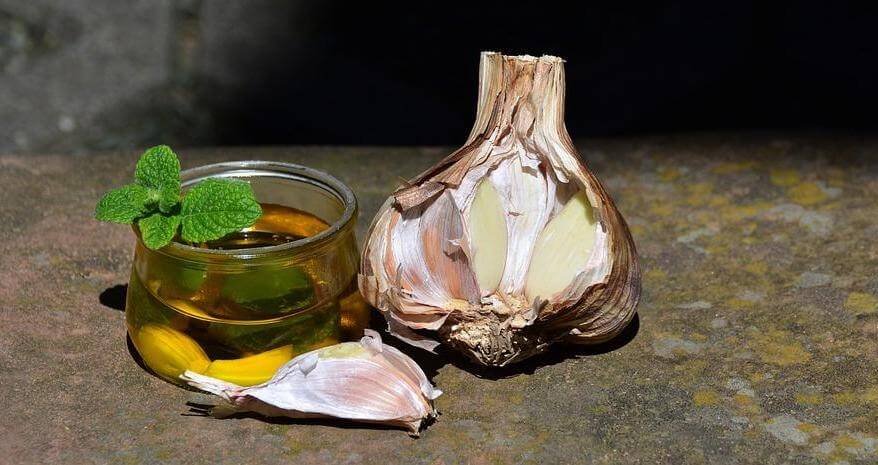 Making garlic oil is simple.  Just add whole or chopped garlic cloves to olive oil to use as a medicinal for ear infections. 
