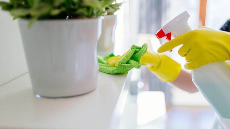 Make your own cleaners with non-toxic ingredients like vinegar, citrus, castile soap and essential oils. 