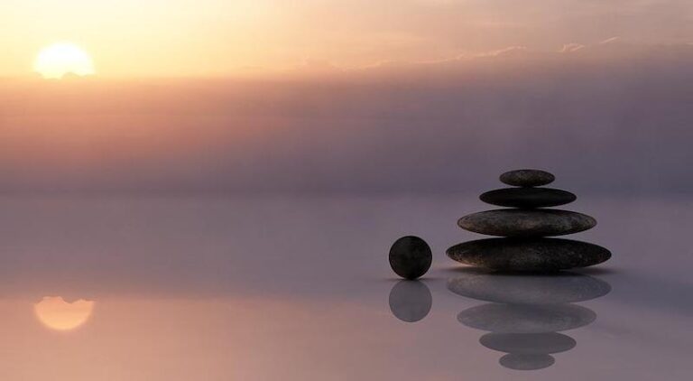 10 Reasons Why Raw Shungite is the Next Big Thing in Wellness Thewellthieone