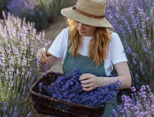 Lavender is an incredible and versatile herb that is healing in many ways, especially when it comes to anti-stress strategies.