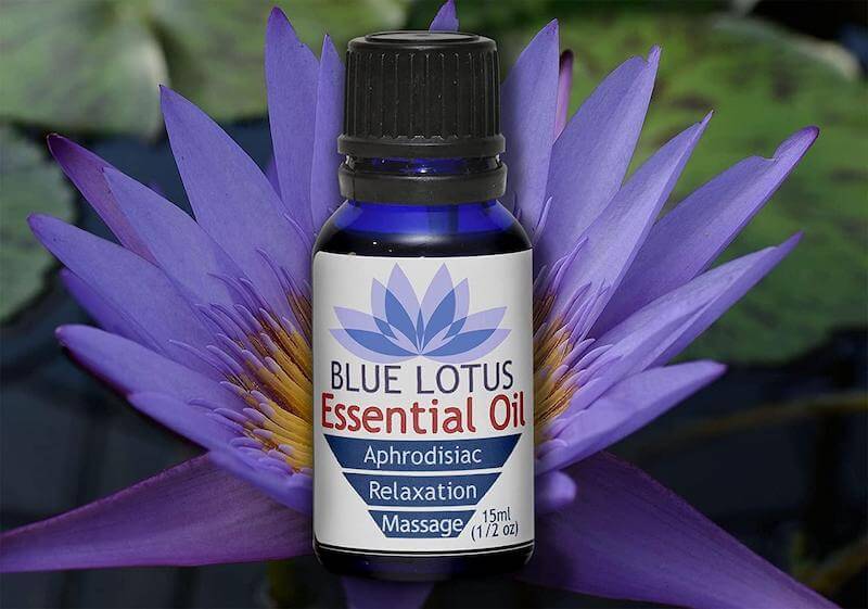 Blue Lotus Essential Oils