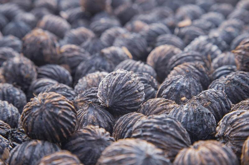 Black walnut contains enzymes such as juglone and tannins, that can target the eggs of parasites and prevent them from hatching or developing further.