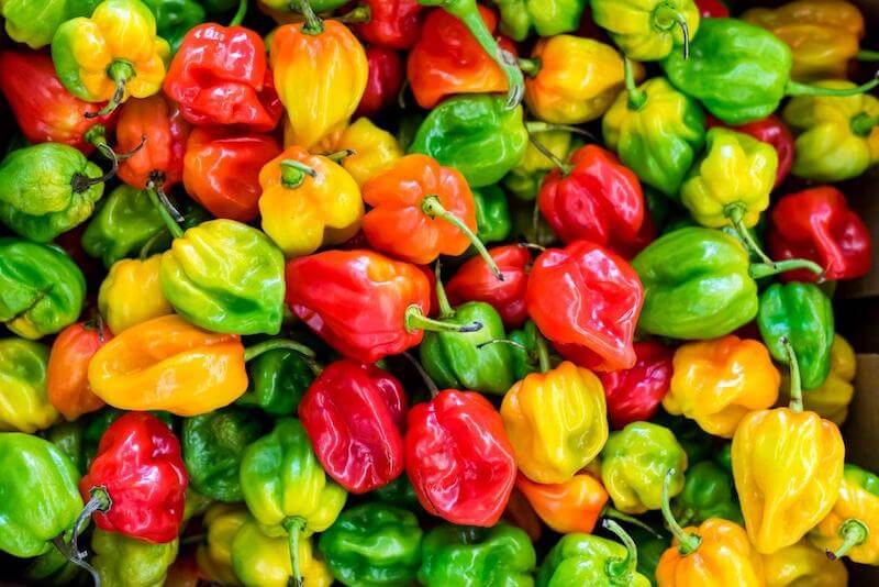Habanero peppers’ heat can vary on the Scoville Scale.