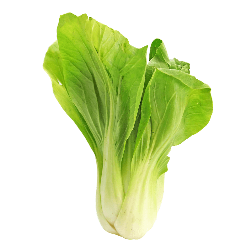 This Chinese cabbage is low in calories but high in vitamin C, K, and calcium. Delicious in a stir-fry!