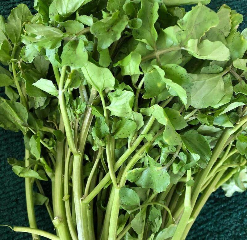 Watercress, an aquatic plant, has a peppery taste and is high in vitamin K and antioxidants.