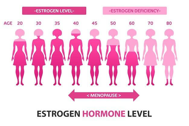 As women age, production of estrogen decreases.
