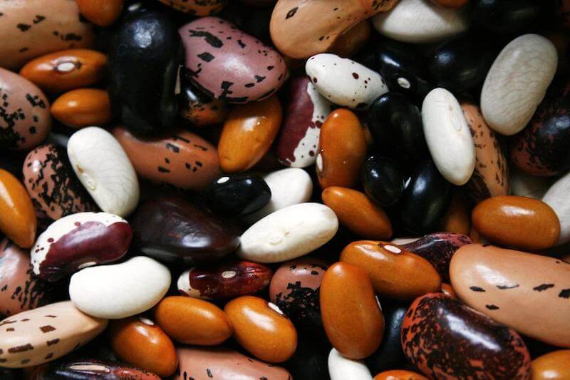 Plant based protein like beans and legumes will keep your blood sugar stable longer.