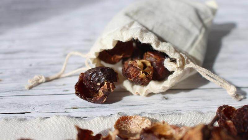 Soap nuts can block progesterone by acting as a natural anti-androgen, reducing the production of testosterone, which can lead to lower levels of progesterone in the body through long-term exposure.