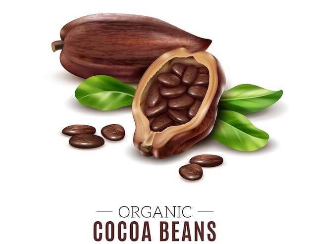 The fatty acids in cocoa beans, such as oleic, palmitic, and stearic acids, are beneficial to the skin as they deeply hydrate and nourish it, improve elasticity, and provide natural antioxidants that protect against UV damage and premature aging.