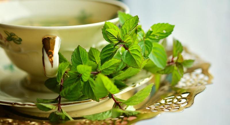 Mint and peppermint can block progesterone by acting as an anti-androgen and reducing the production of testosterone, which can lead to lower levels of progesterone in the body.