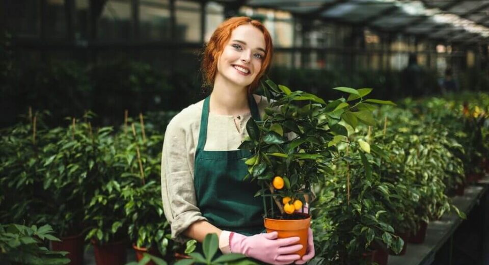 Shilajit for Plants – 10 Benefits of Himalayan Shilajit Resin For Organic Gardening, New Report 2023