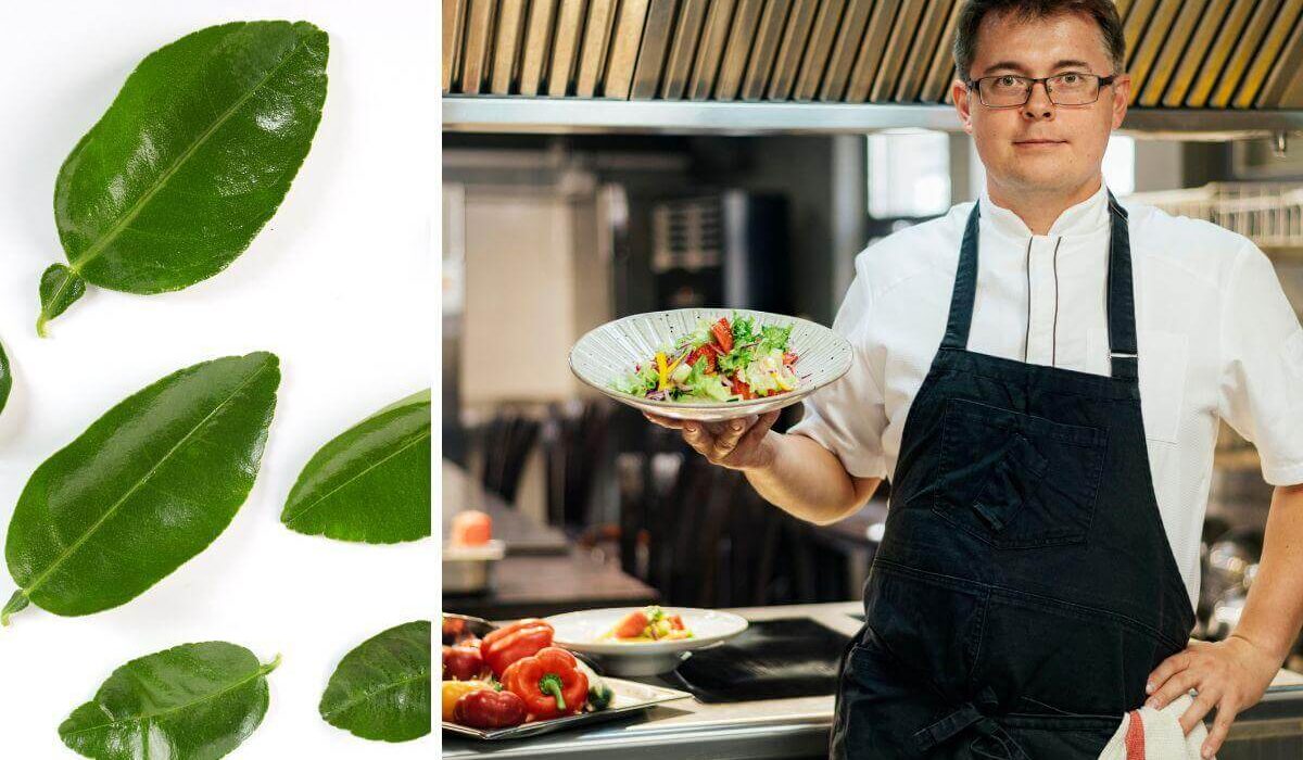 Unlocking the Secrets of Lime Leaves - Flavor, Health, and Culinary Creativity