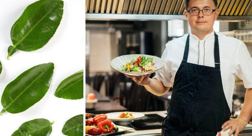 Unlocking the Secrets of Lime Leaves - Flavor, Health, and Culinary Creativity