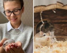 Best Hamster Food & Care Practices - Explore Our Top Picks & Tips