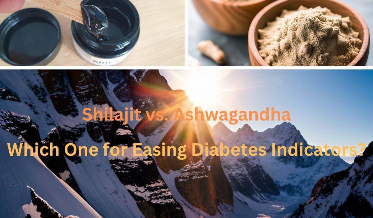 Shilajit vs. Ashwagandha: A Comparative Guide for Easing Diabetes Indicators