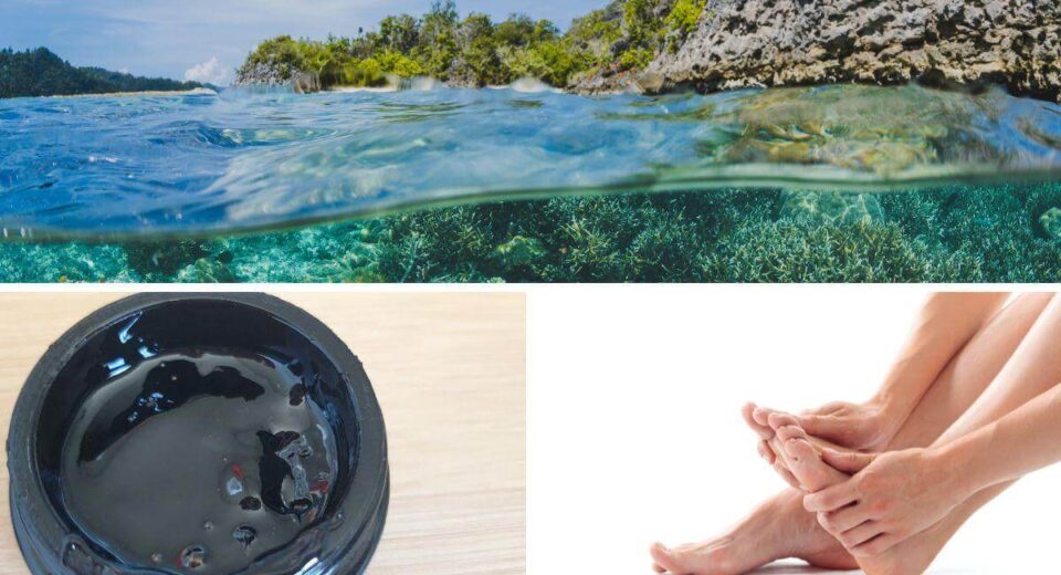 Shilajit and Sea Moss - New Neuropathy Pain Treatment Benefits Report Update 2023