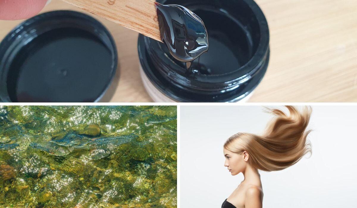 Shilajit and Sea Moss – Hair Growth Combined Approach