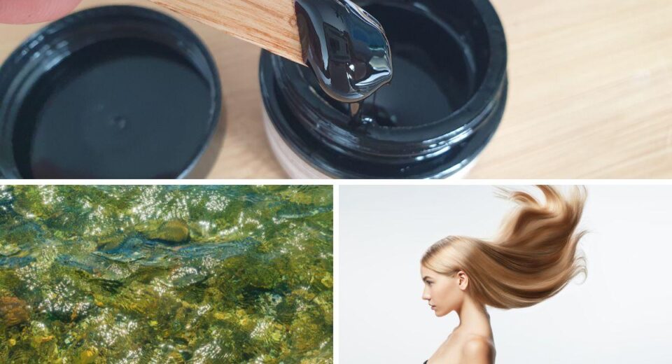 Shilajit and Sea Moss – Hair Growth Combined Approach