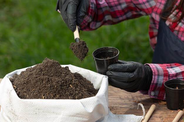 Healthy soil has plenty of fulvic acid, which is more brown, and humic acid, which is part of the black components of soil.