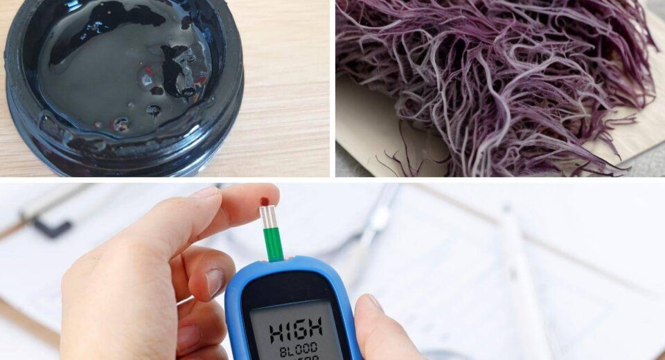 Shilajit and Sea Moss Blood Glucose Effects - New Treatment Report 2023