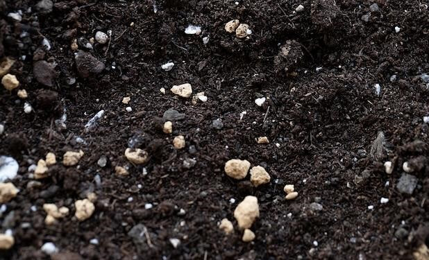 By infusing the soil with essential minerals and nutrients, plants receive the optimal nourishment needed to flourish.