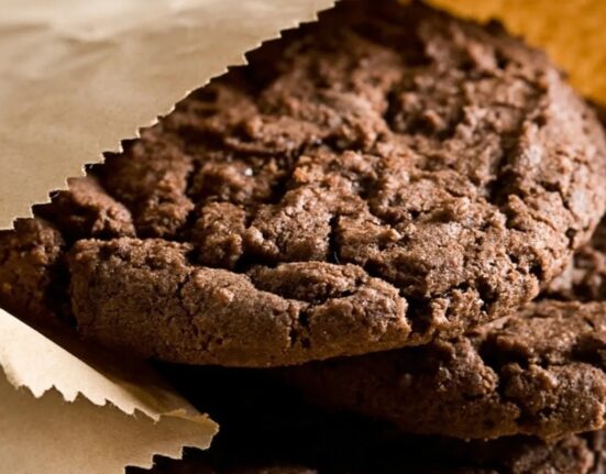 Have You Had Your Dark Choco Cookie Fix Today? You Will Want to Try These! Thewellthieone