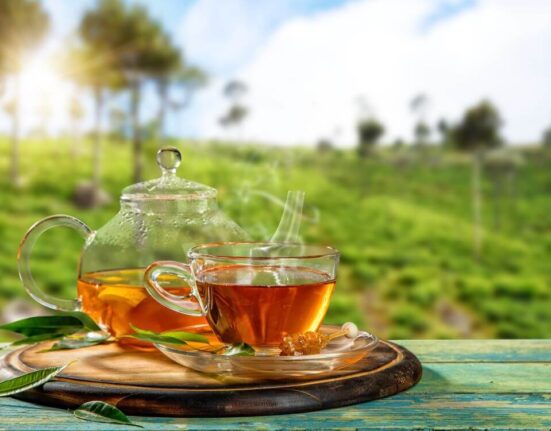 4 Reasons to Try Manglier Tea, A Creole Cold Remedy for Ultimate Wellness TheWellthieone