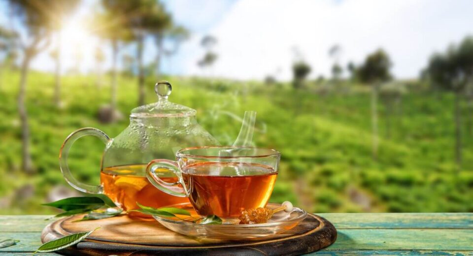 4 Reasons to Try Manglier Tea, A Creole Cold Remedy for Ultimate Wellness TheWellthieone