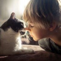 Why Does My Cat Bite My Nose? 11 Reasons Why Your Cat Can Surprise You!