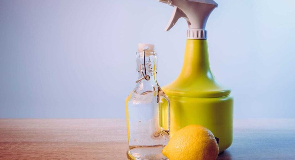 Avoid Harmful Chemicals! Make Your Own All-Purpose Citrus Cleaner