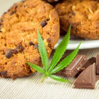 How to Recover From Edibles - 3 Products to Help Soak Up The Effects Like A Sponge! TheWellthieone