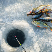 5 Reasons Why An Ice Fishing Camera Is the Ultimate Tool For Success & 3 Best Picks! TheWellthieone
