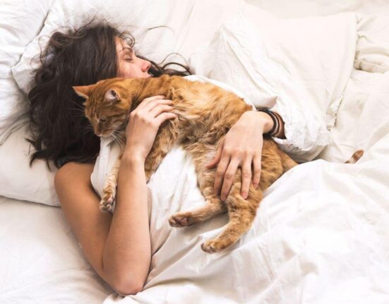 Do Cats Protect You While You Sleep? TheWellthieone