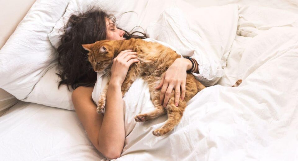 Do Cats Protect You While You Sleep? TheWellthieone