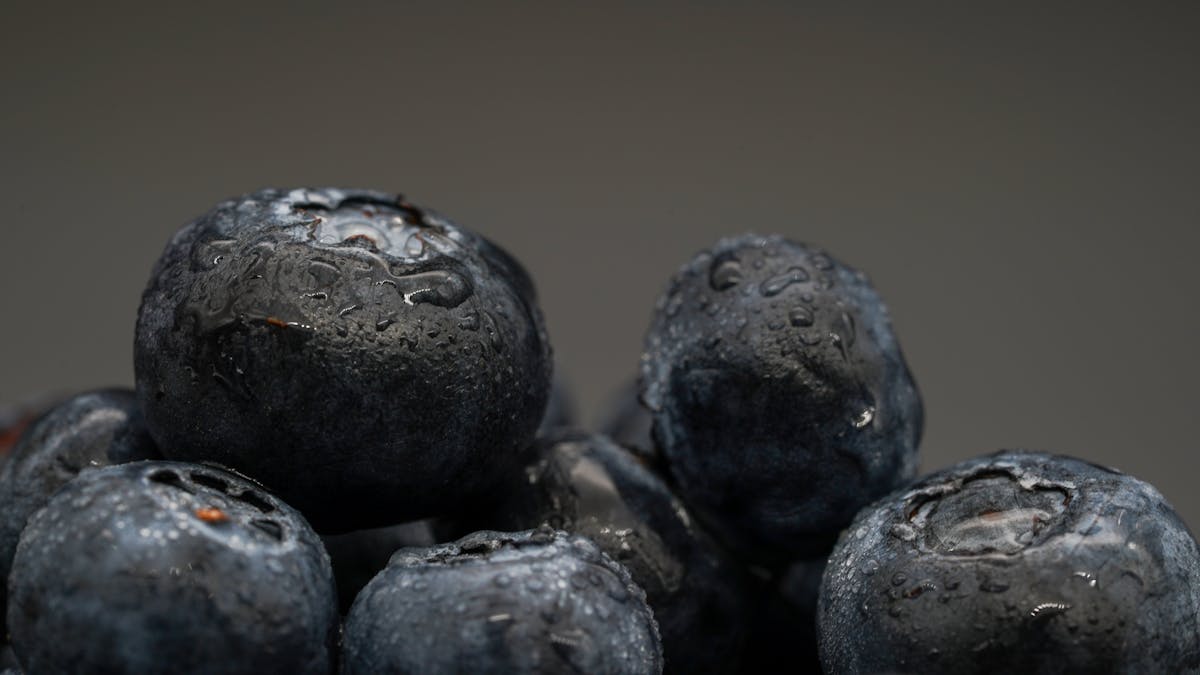Fresh blueberries close-up, a nutrient-dense antioxidant-rich snack for dogs