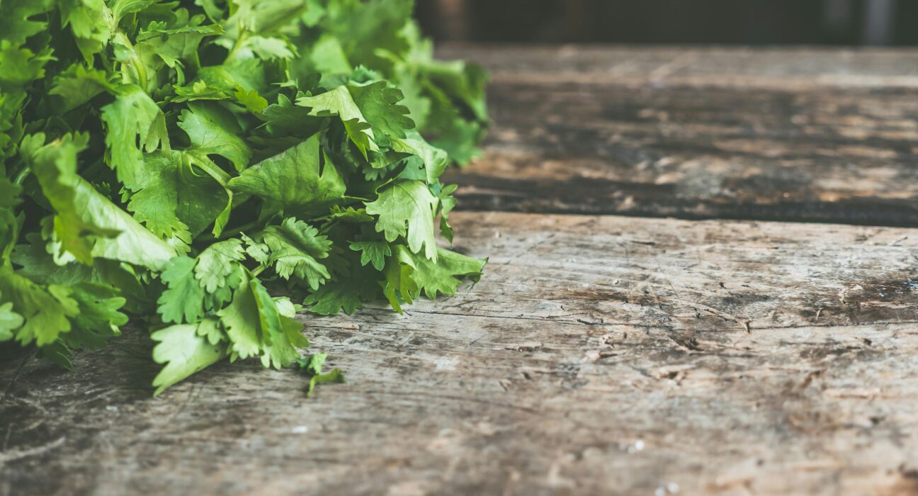 Fresh cilantro for heavy metal detox on a rustic wooden table