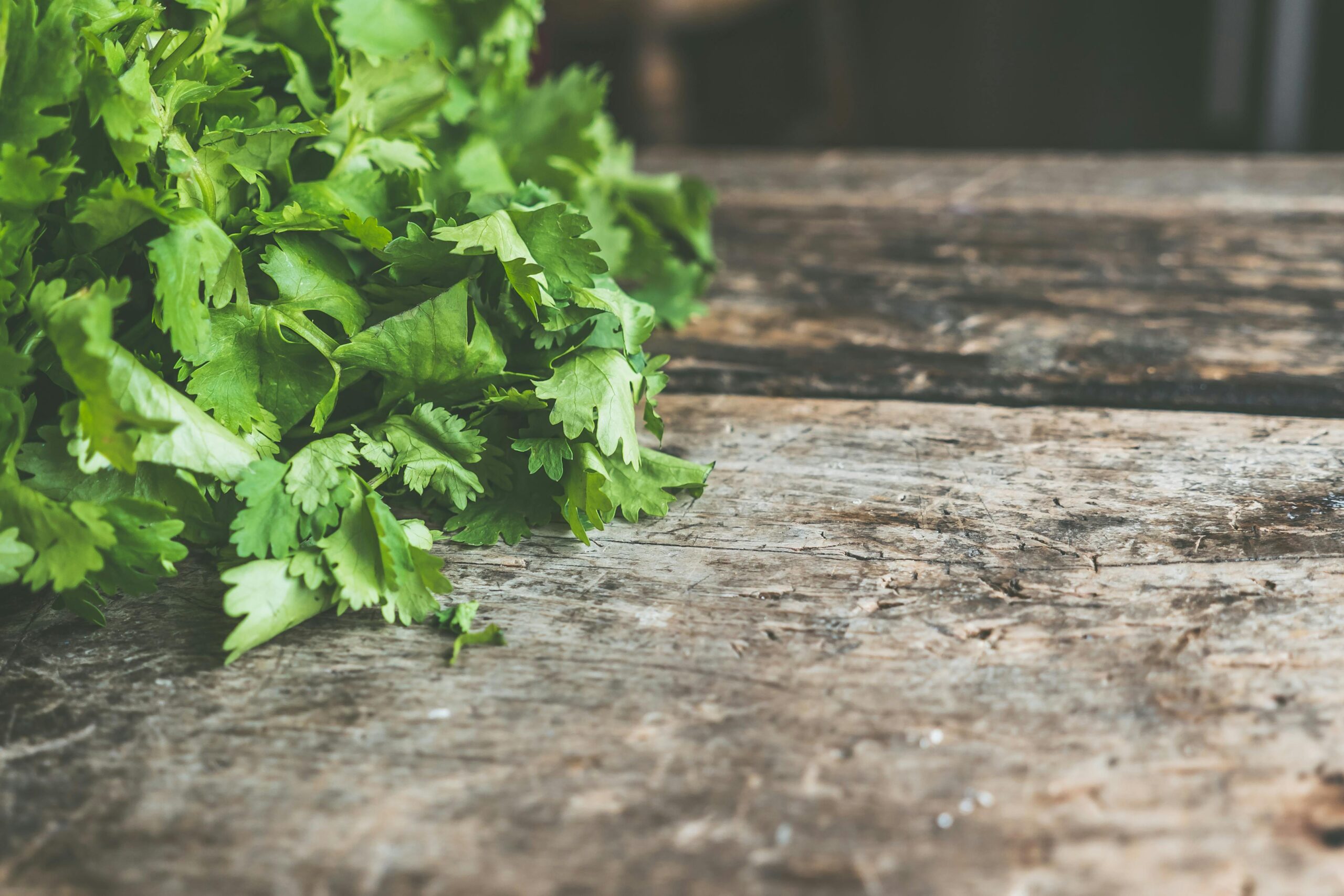 Fresh cilantro on a wooden table, often paired with chlorella in heavy metal support routines