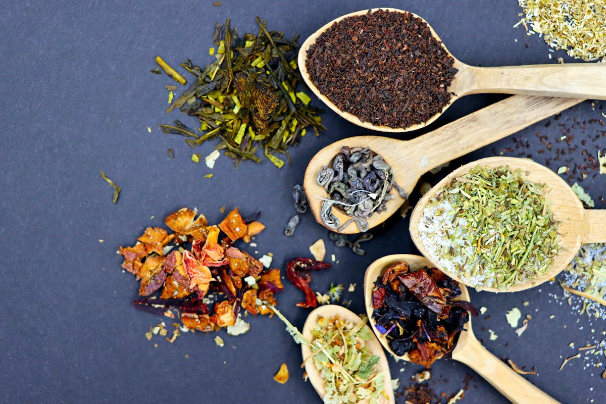 A variety of herbal tea blends including mullein leaf for respiratory support