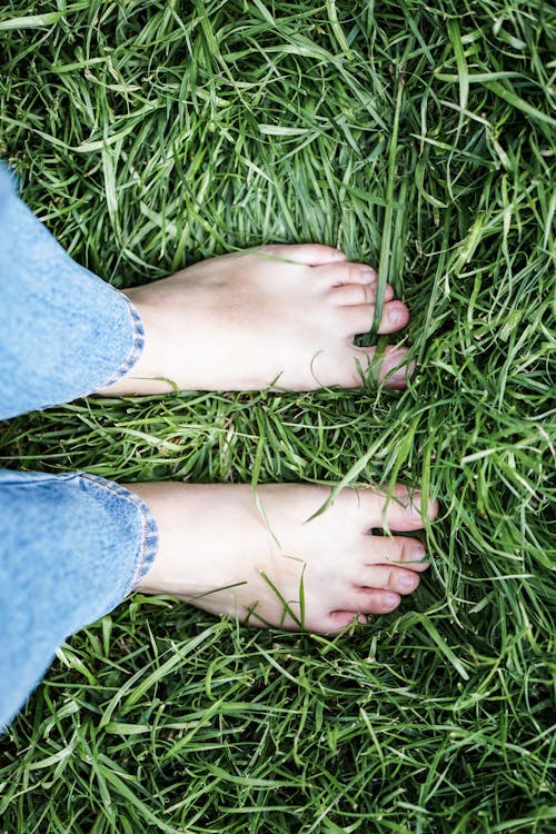 How to start earthing at home by walking barefoot on grass