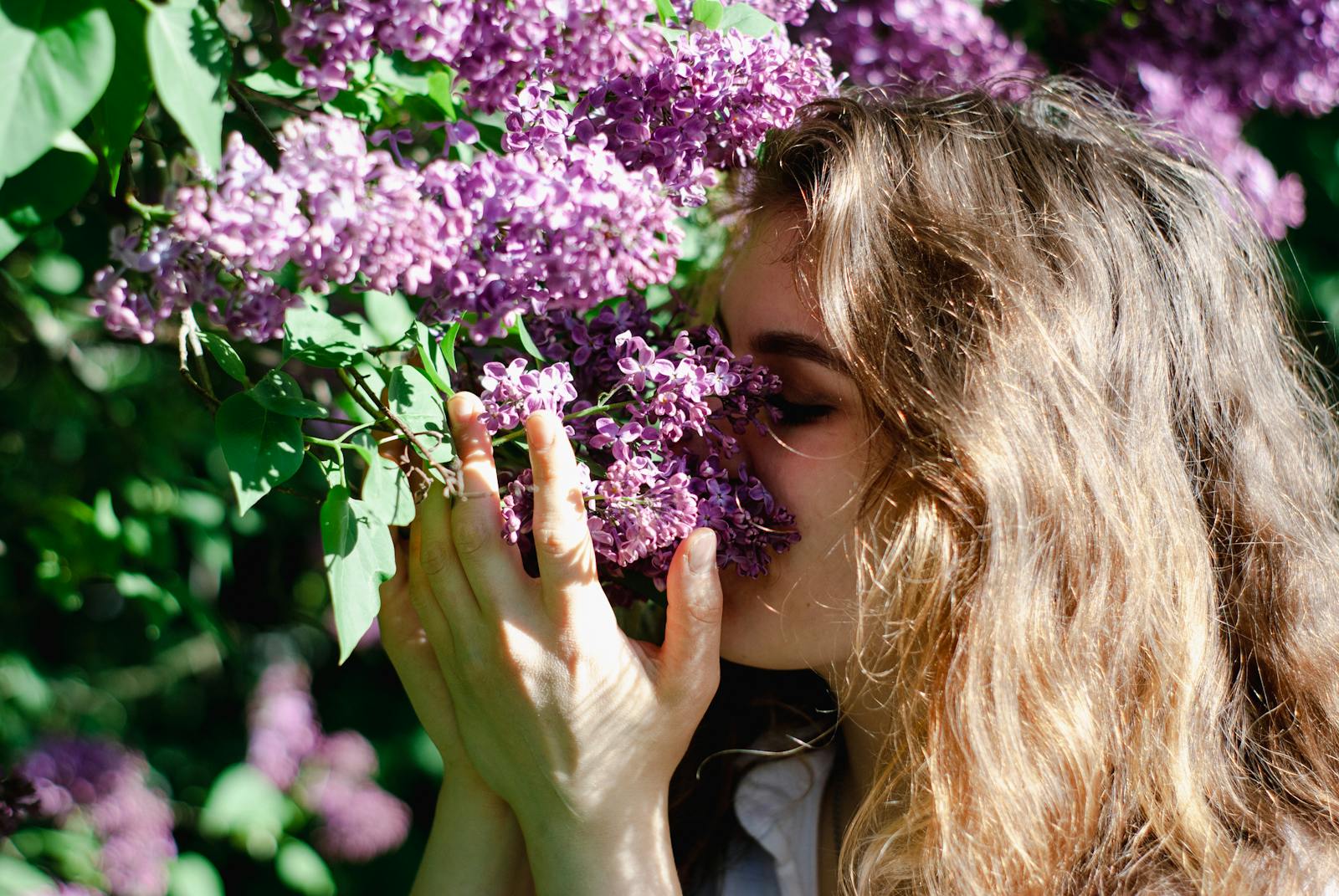 Woman smelling lilac flowers in a sunlit spring garden