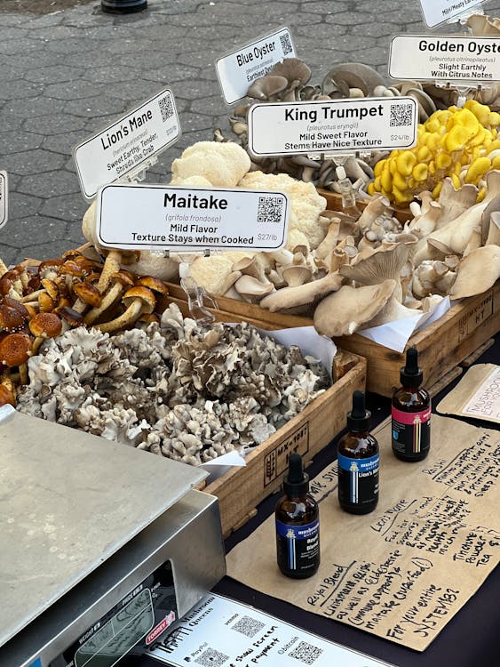 lions mane mushroom close up for brain health