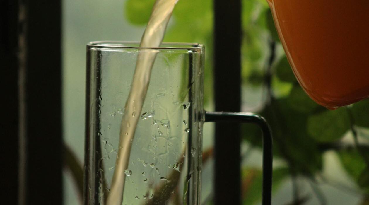 Adrenal cocktail recipe with fresh orange juice in a glass