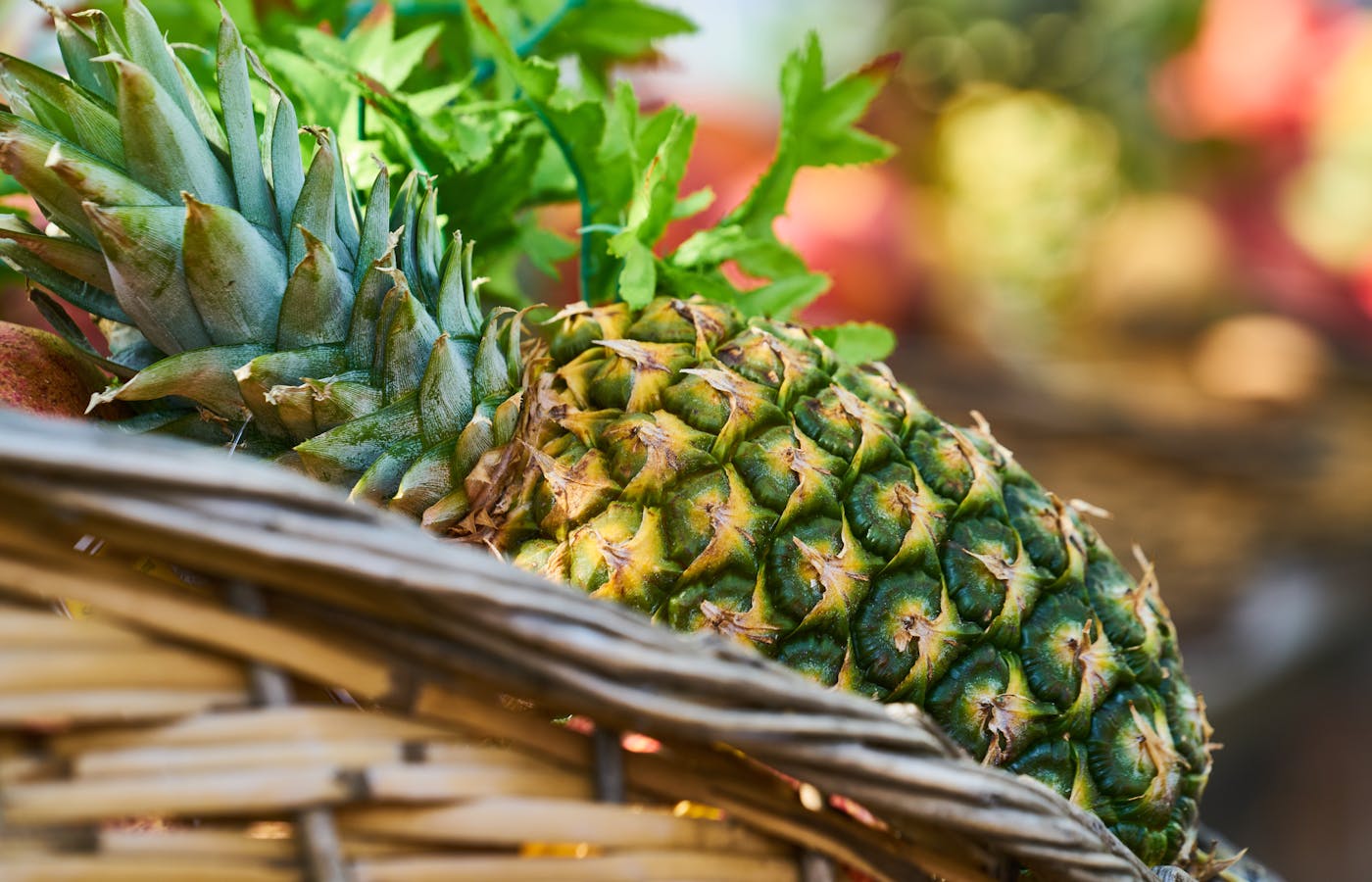 Ripe pineapples a natural source of bromelain for sinus support