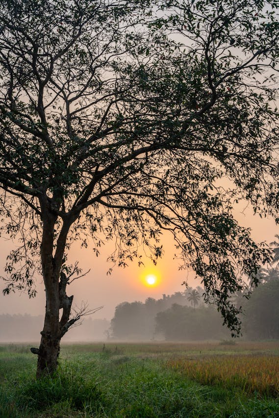 peaceful sunrise scene representing morning sunlight for circadian rhythm