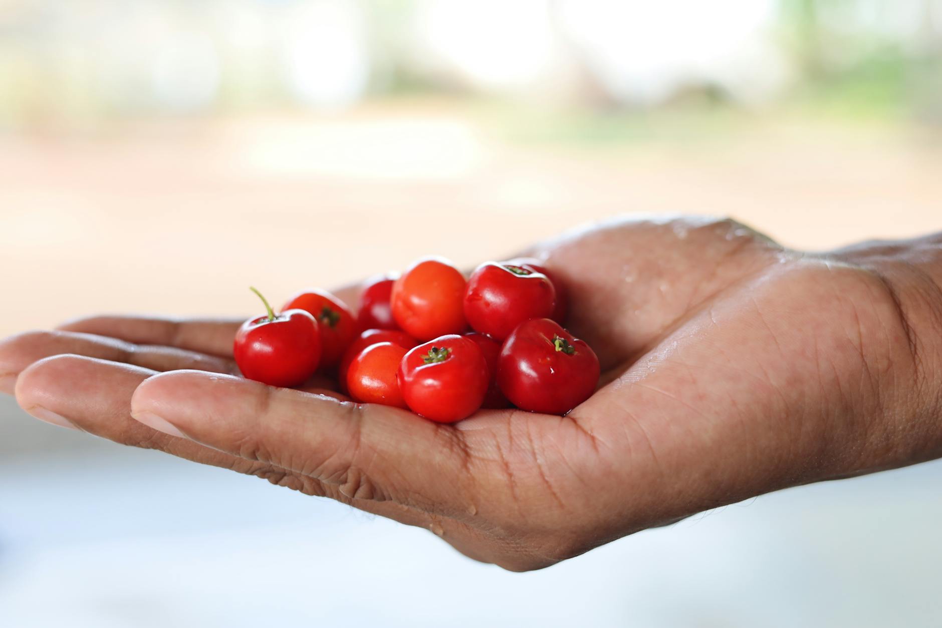 Acerola Cherry Bowl for Collagen Stops Working Without Vitamin C: The Cofa
