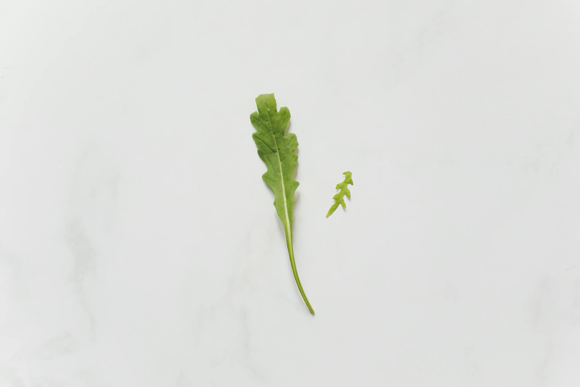 Bitter Greens Arugula for Coffee Enemas Stop Working: What to Add When Liver